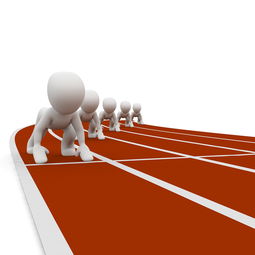 九游APP官网-中小学体育教师职业成长路径研究，中小学体育教师现状