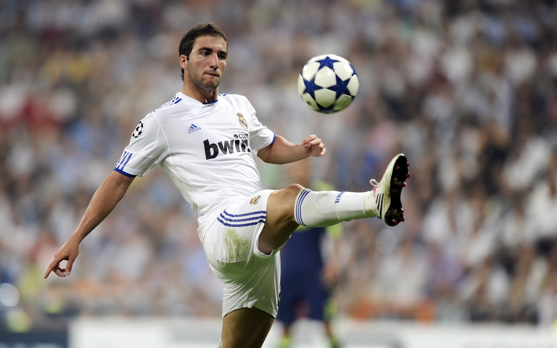 切尔西青训体系成果显现，切尔西青年